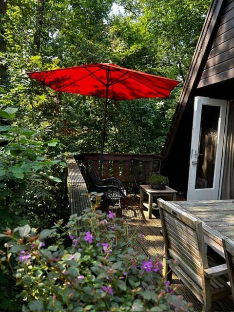 Chalet Woods Durbuy Eksteriør billede